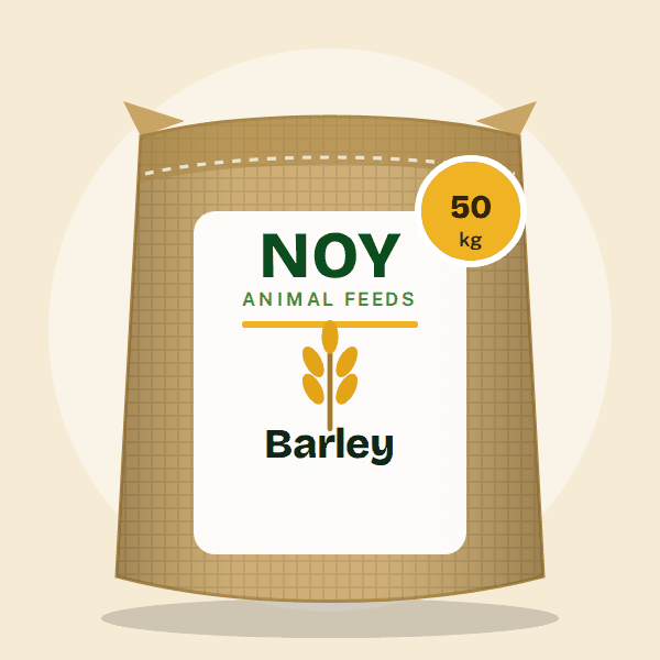 Barley by Noy Animal Feeds