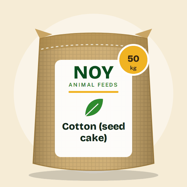 Cotton (seed cake) by Noy Animal Feeds