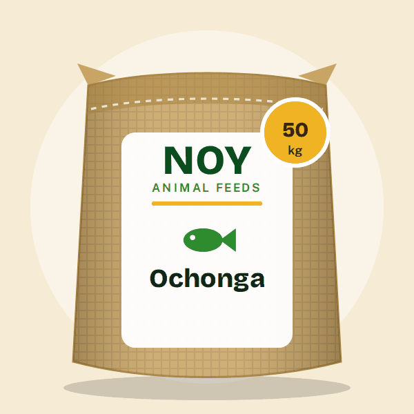 Ochonga by Noy Animal Feeds